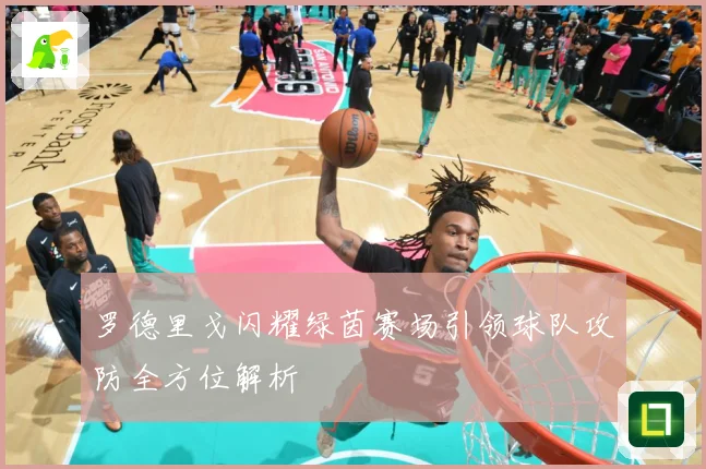 罗德里戈闪耀绿茵赛场引领球队攻防全方位解析