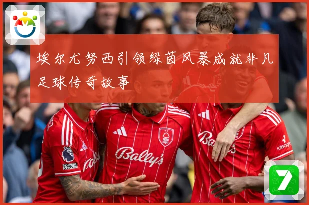 埃尔尤努西引领绿茵风暴成就非凡足球传奇故事