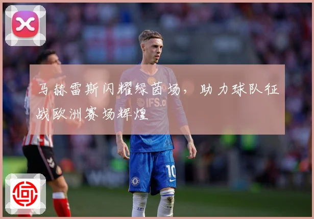 马赫雷斯闪耀绿茵场，助力球队征战欧洲赛场辉煌