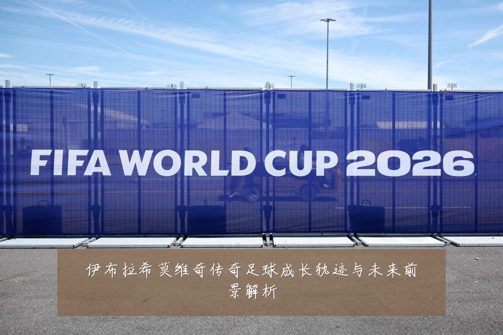 伊布拉希莫维奇传奇足球成长轨迹与未来前景解析