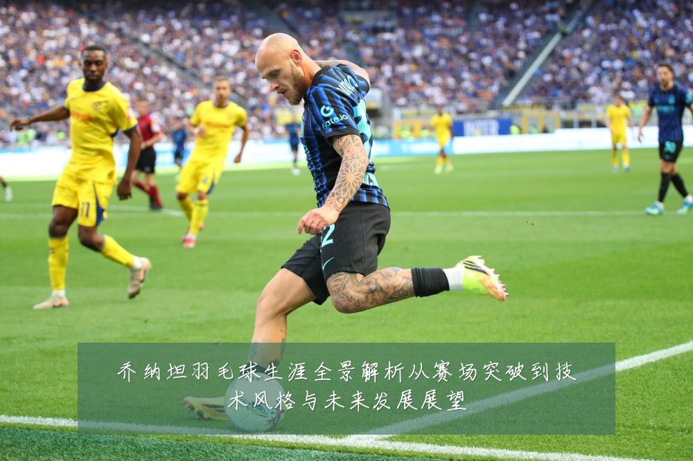乔纳坦羽毛球生涯全景解析从赛场突破到技术风格与未来发展展望